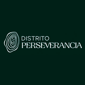 logo distrito